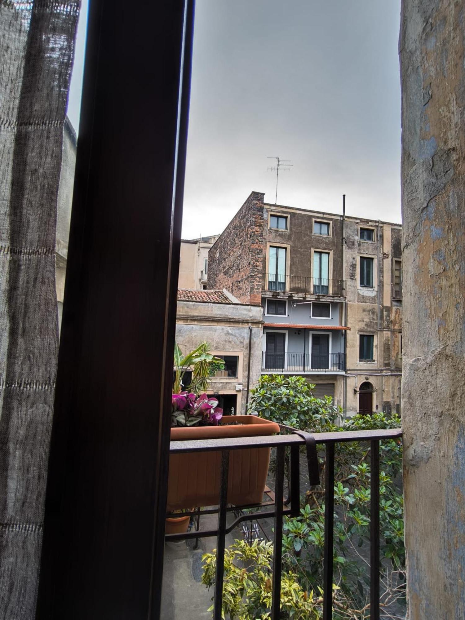 Apartment Bellini House *